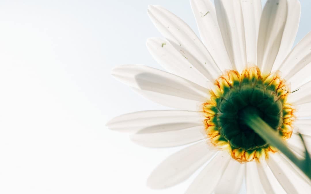4 Tips for Fighting Discontentment