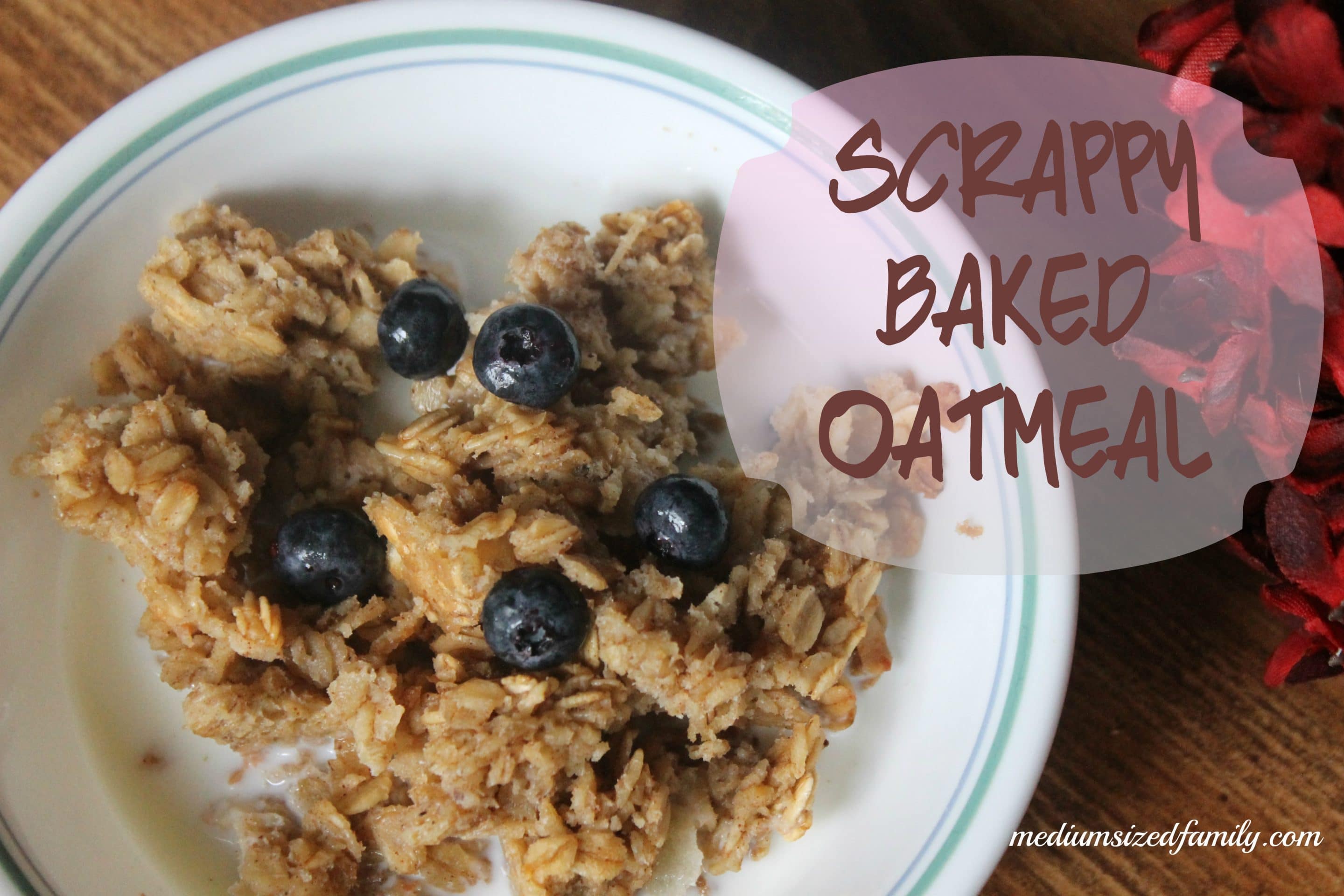 Yummy Baked Oatmeal Casserole (Super Frugal and So Simple!)