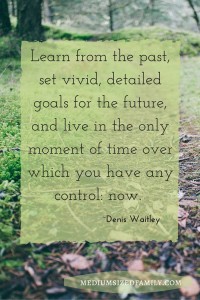 Learn from the past, set vivid, detailed goals for the future, and live in the only moment in time