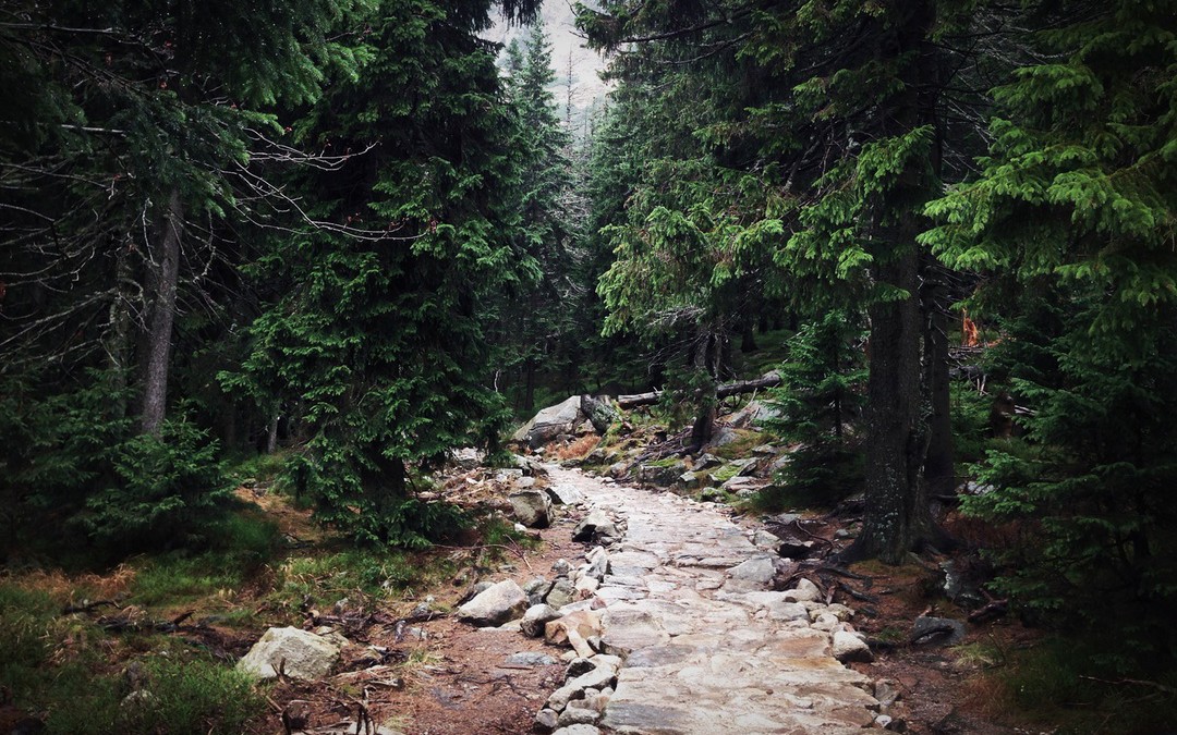 Work the Plan: Goals for the Week 10/26