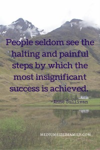 People seldom see the halting and painful steps by which the most insignificant success is achieved.