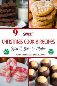 Looking for some Christmas cookie recipes to try this year? These delicious Christmas cookie ideas will put you right in the spirit of the season.