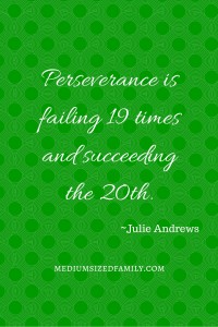 Perseverance is failing 19 times and succeeding the 20th.