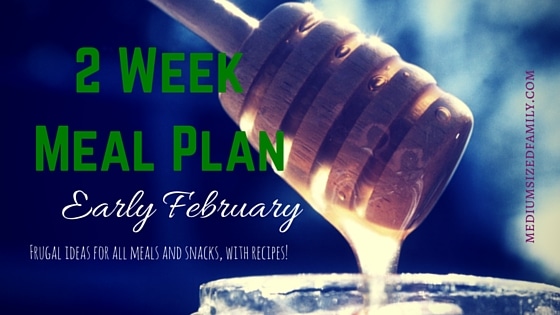 2 Week Meal Plan for Early February