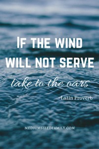 If the wind will not serve, take to the oars.