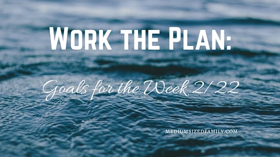 Work the Plan- Goals for the Week