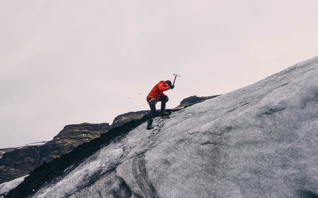 Work the Plan: Goals for the Week 2/29