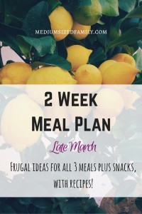 2 Week Meal Plan for Late March: All 3 meals and snacks with recipes!