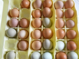 Easter brunch menu