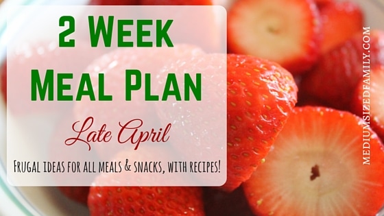 2 Week Meal Plan for Late April