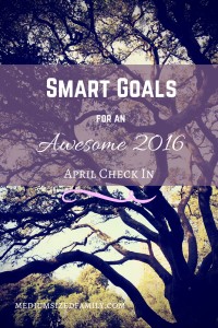 How are your yearly goals going? It's April and we're checking in on our SMART goals and our BHAG for paying off debt. Check out how we're reaching our big goals this year.