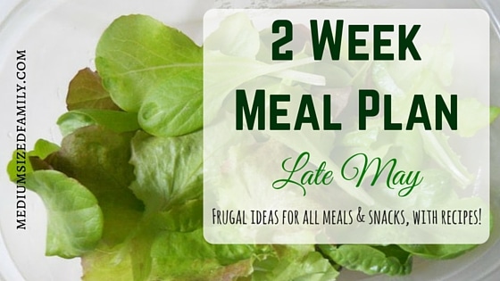 2 Week Meal Plan for Late May
