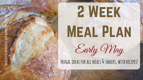 2 Week Meal Plan for Early May