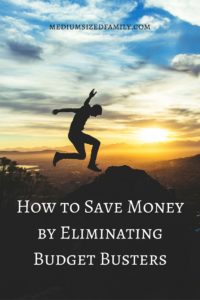 How to save money by eliminating budget busters. We all have pesky leaks in our budgets that stop us from achieving our true goals in life. Here is real help with step by step directions for eliminating those budget busters. Totally free.