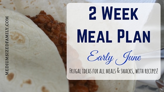 2 Week Meal Plan for Early June