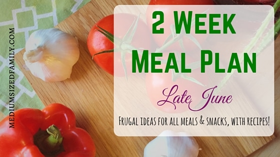 2 Week Meal Plan for Late June