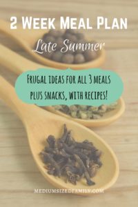 2 Week Meal Plan for Late Summer. Looking for a meal plan that can cover 2 weeks worth of meals and snacks? Here's a summer menu.