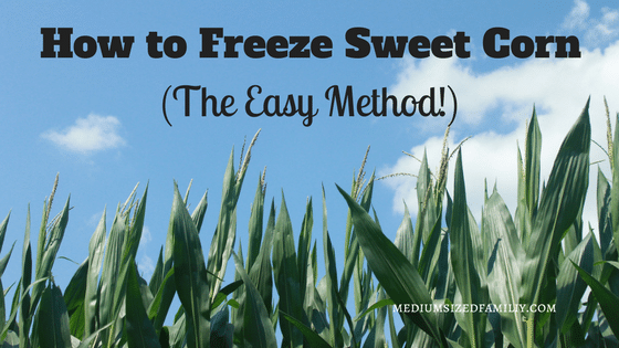 How to Freeze Sweet Corn (The Easy Way!)