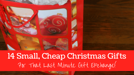 10 Last Minute Gift Ideas Under $25! - Gabby In The City