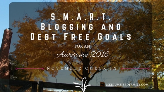 SMART Goals Check in for November