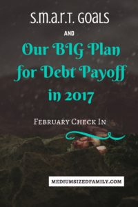 Our Big Plan for Debt Payoff February Check In