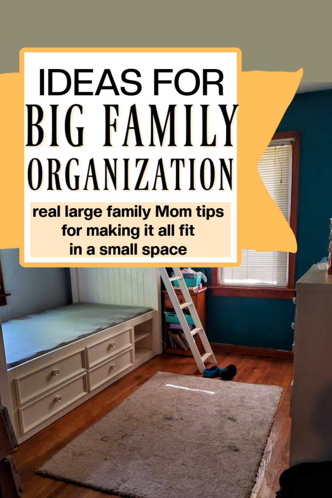 https://www.mediumsizedfamily.com/wp-content/uploads/2017/02/big-family-organization-683x1024.png