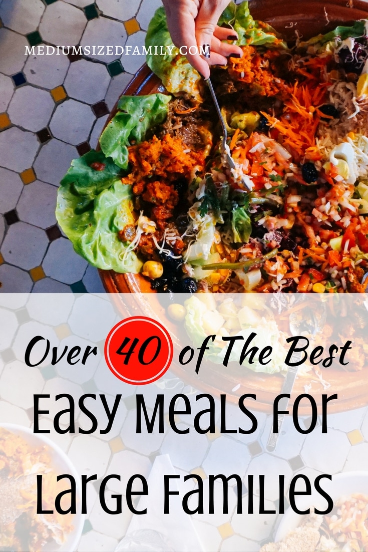 You need this resource in your life! Tons of easy meals for large families that they'll actually eat.