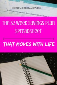 I needed a savings plan spreadsheet that wasn't so hard to keep up with. This one moves with me. If I have a bad week, it shows me how to get on track. Waaaay easier to use!