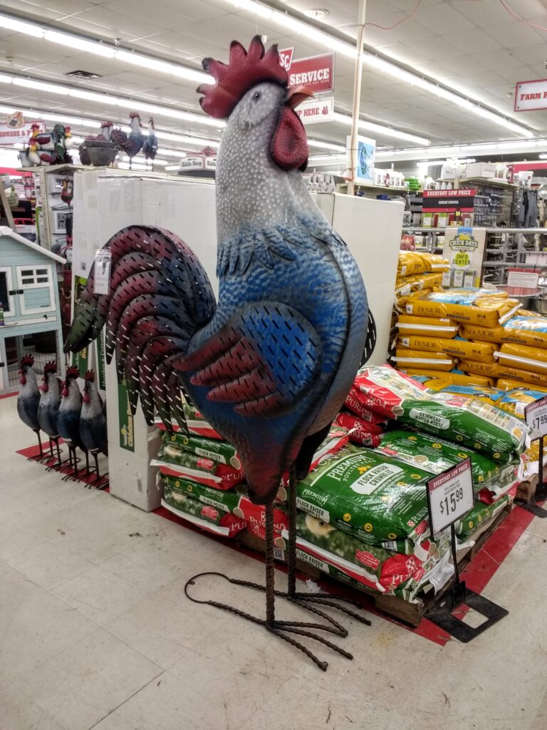 giant metal chicken
