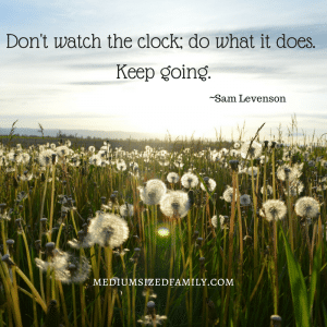 Don't watch the clock; do what it does. Keep going.
