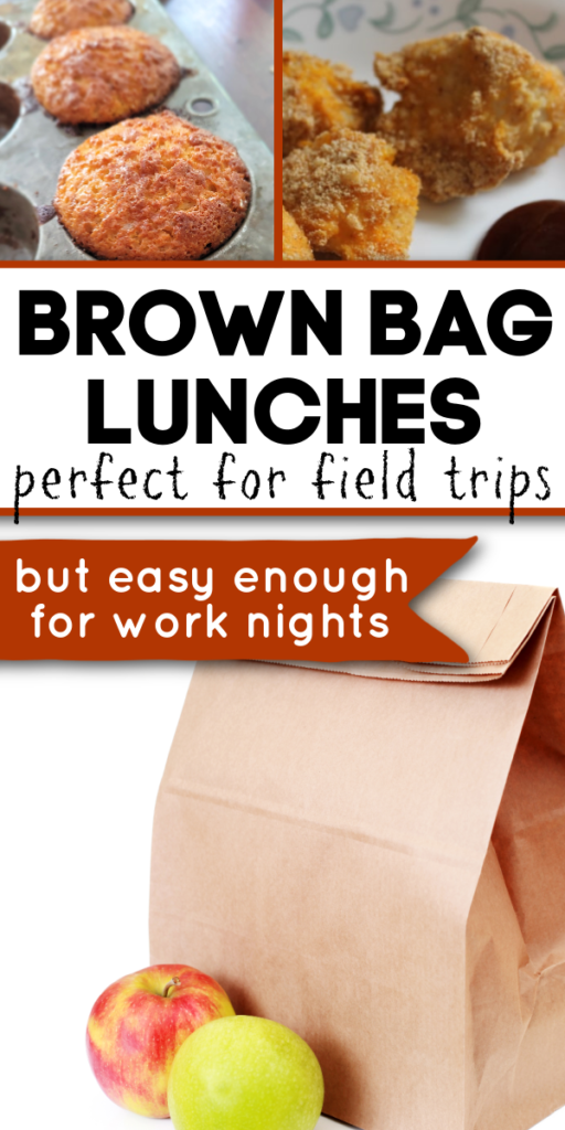 brown bag lunch ideas for field trips, field trip lunch ideas, easy lunches to pack, easy packed lunch ideas, pack lunch ideas, pack lunch ideas for school, easy packed lunch, packed lunch ideas for school trips, food for school lunches, quick school lunches