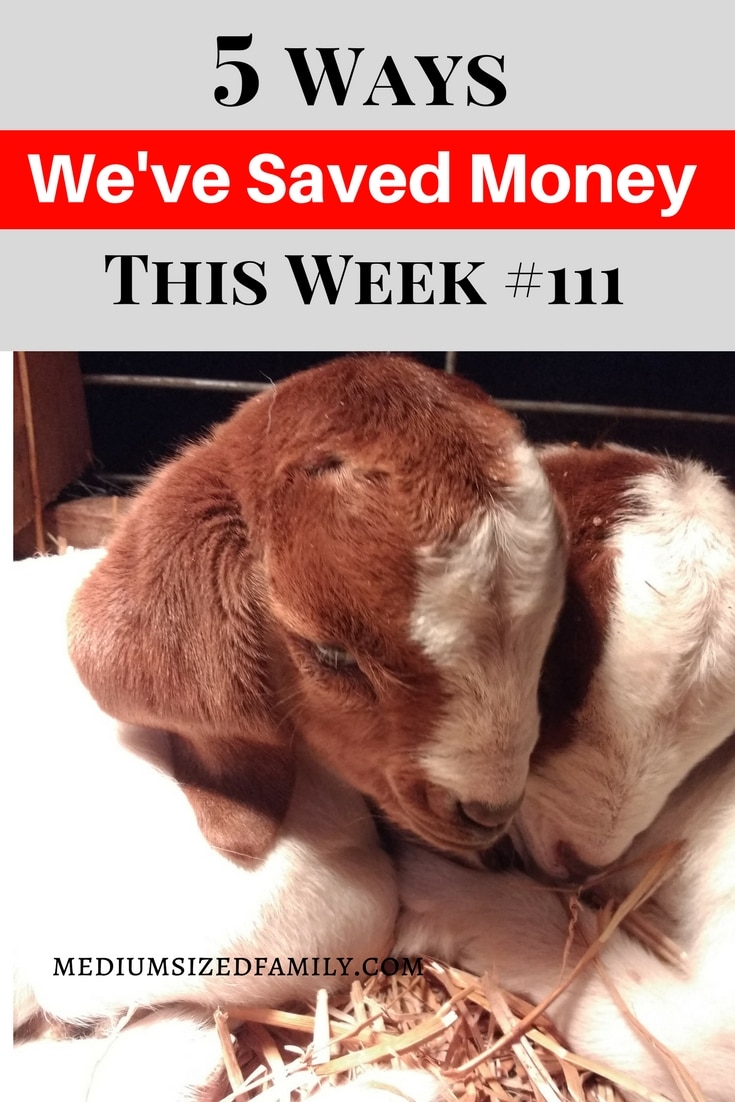 5 Ways We've Saved Money This Week 111 More ways to save money every single week!