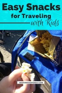 Snacks for traveling with kids that will save you money! Get homemade snack ideas and simple ways to build it into your life.