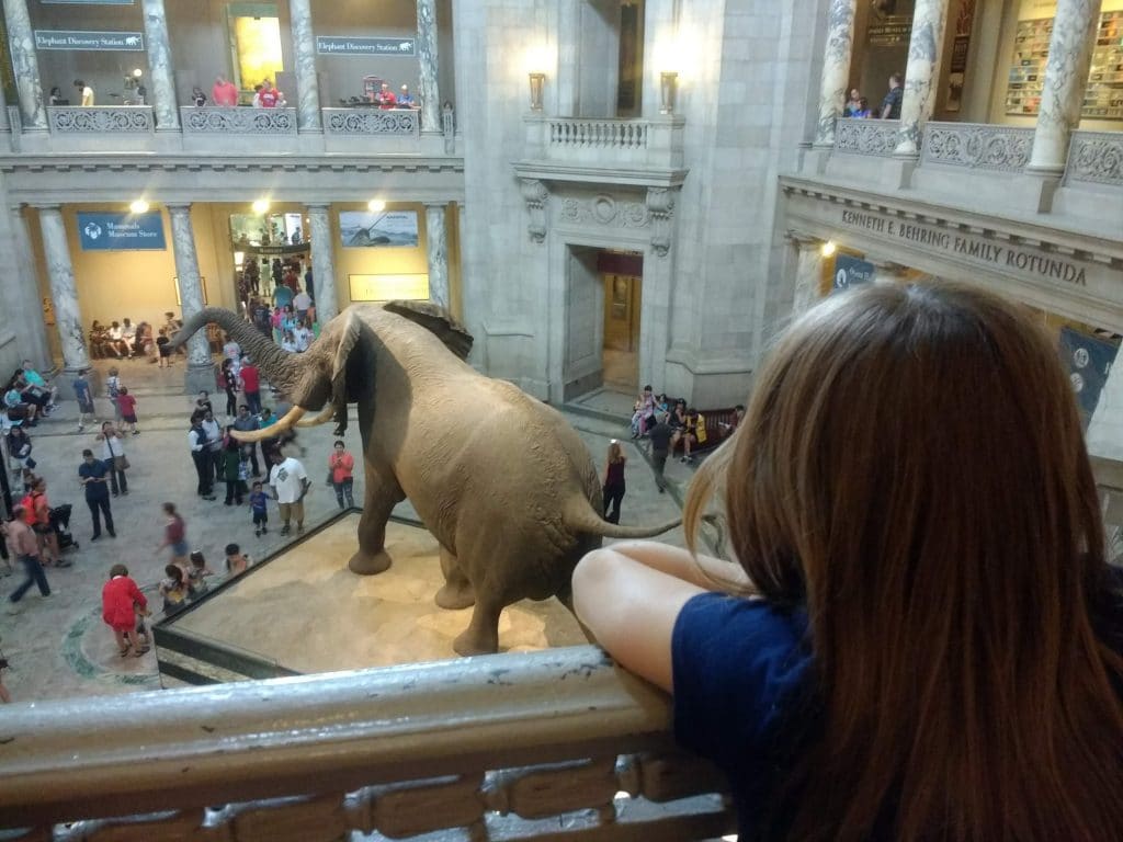 Tips for visiting the Smithsonian museums while in Washington DC