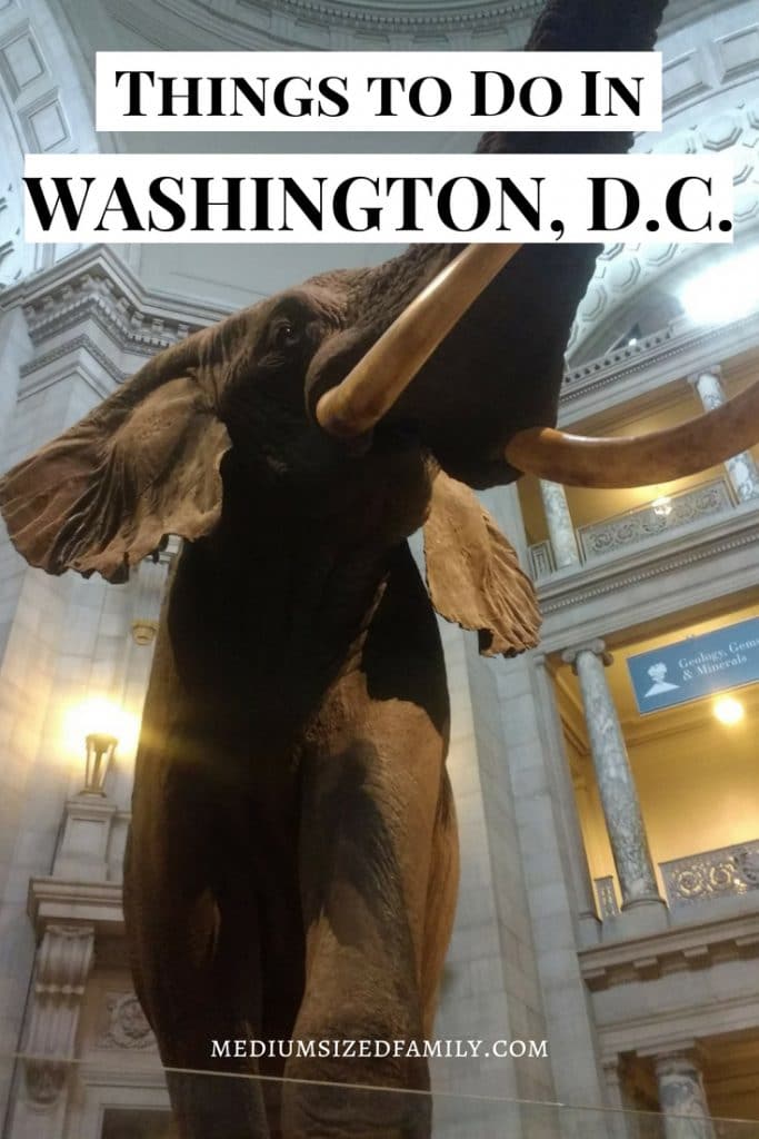 Things to do in Washington DC for kids. Everyone should travel to DC for vacation at least once!