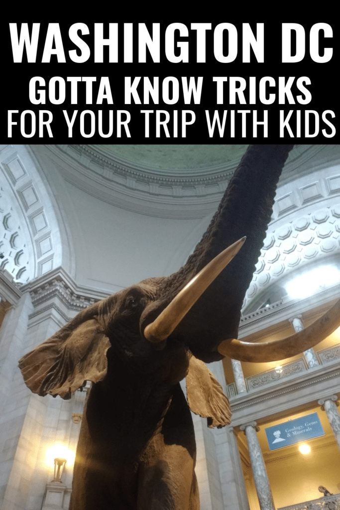 See Washington D.C. with your kids! must know tips that you probably didn't know about. Things to do in Washington DC with kids. Family things to do in Washington DC. Family vacation ideas. Where to take the kids this summer. Summer trips for families. washington dc things to do, washington dc things to do in winter, washington dc things to do in summer, washington dc things to do in fall, washington dc with kids, things to do in washington dc with kids, family trip to washington dc, washington dc trip planning, fun things to do in washington dc, washington dc first time, washington dc family vacation