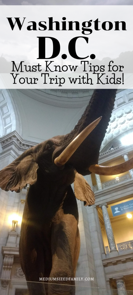 See Washington D.C. with your kids! But don't go before you read these must know tips that you probably didn't know about.
