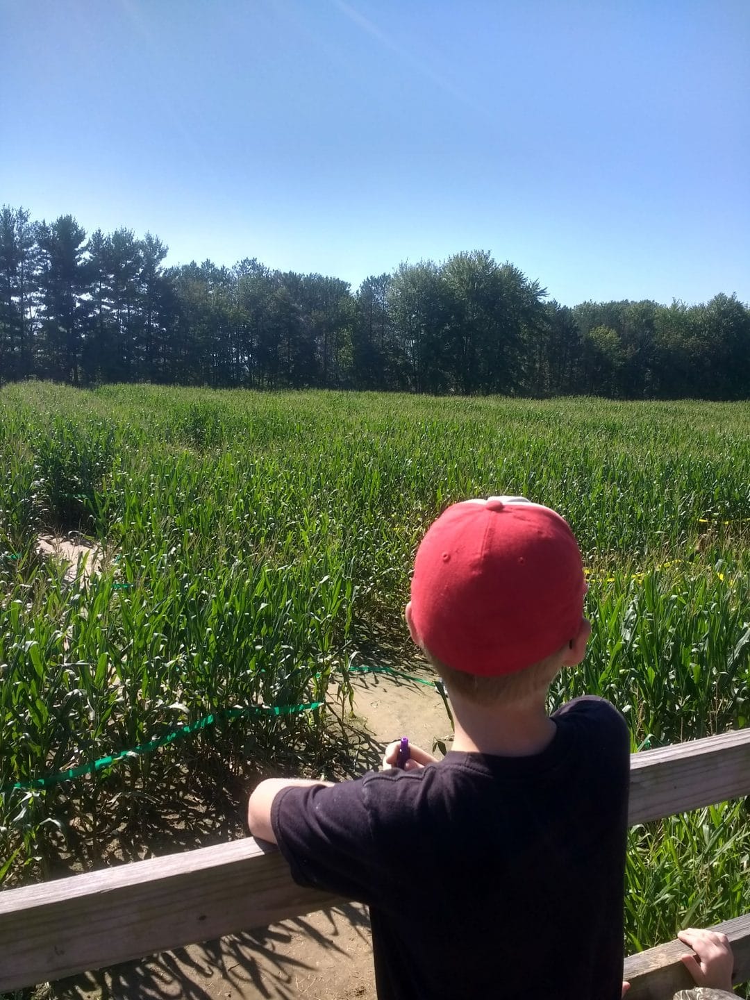 Blooms & Berries A Review of Fall On the Farm (And A 2018 Coupon That