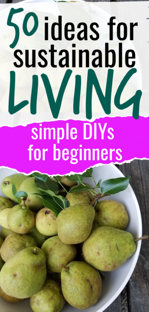 These sustainable living tips are perfect for beginners. Get DIYs you can do at home to save money and be more responsible with what you have. Use it up, wear it out, make it do, or do without. 