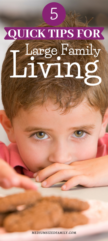 Large family living tips for raising children