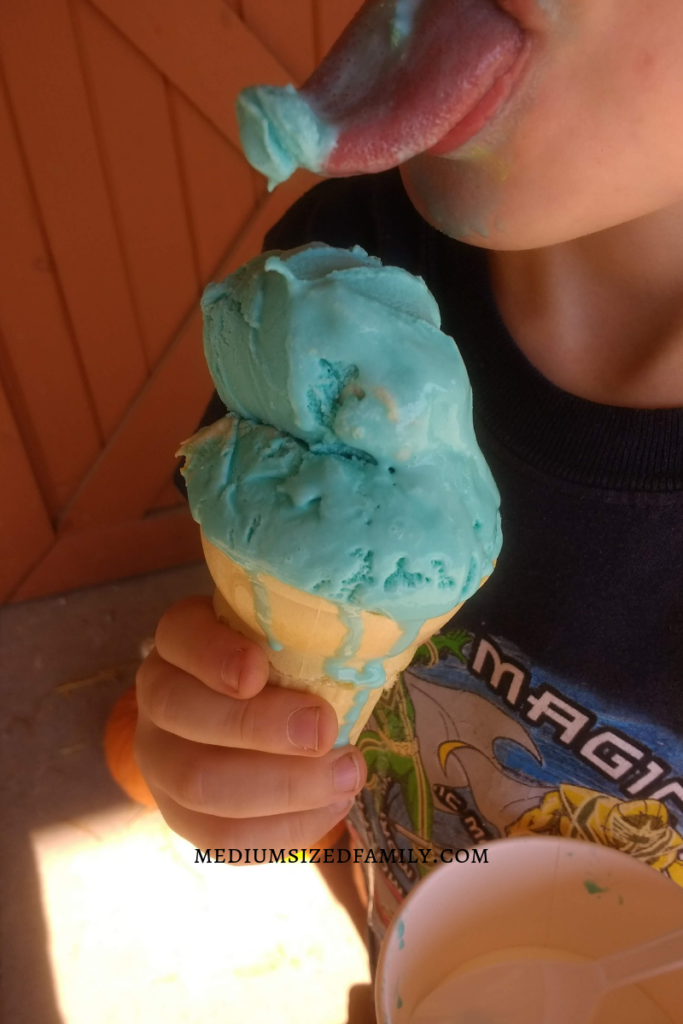 Try hitting as many different ice cream shops as you can for a fun family activity