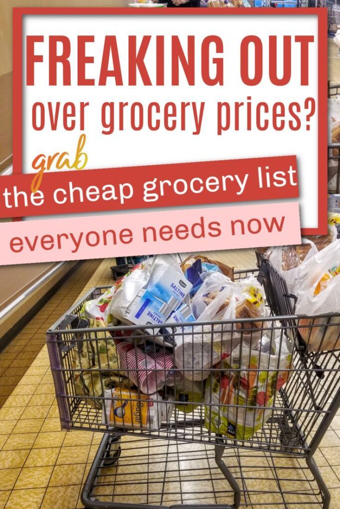 Get this cheap grocery list for families. Cheap grocery ideas. How to afford groceries during inflation. Inflated grocery prices. Cost of groceries too high. How to afford food. How to afford to eat. Food on a budget.