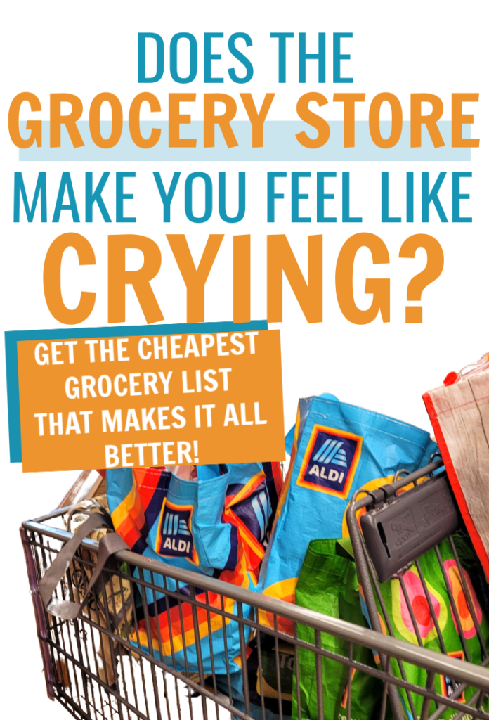 grocery list on a budget, budget grocery list, weekly grocery list on a budget, cheap grocery list, cheapest groceries, grocery list on a budget families, grocery list on a budget Aldi, family grocery list on a budget, kroger grocery list, kroger grocery list on a budget, grocery list for kroger, grocery list for aldi, Get this cheap grocery list for families. Cheap grocery ideas. How to afford groceries during inflation. Inflated grocery prices. Cost of groceries too high. How to afford food. How to afford to eat. Food on a budget. #budget #grocerylist