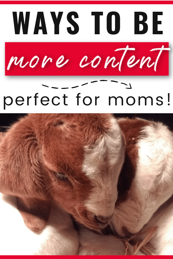 Ways for Moms to find more contentment and gratitude in their days. How to be a more grateful mom. Ways to show more gratitude. Ideas for a more contented life as a mom. Ways to show contentment. How to feel less anxious as a mom.
