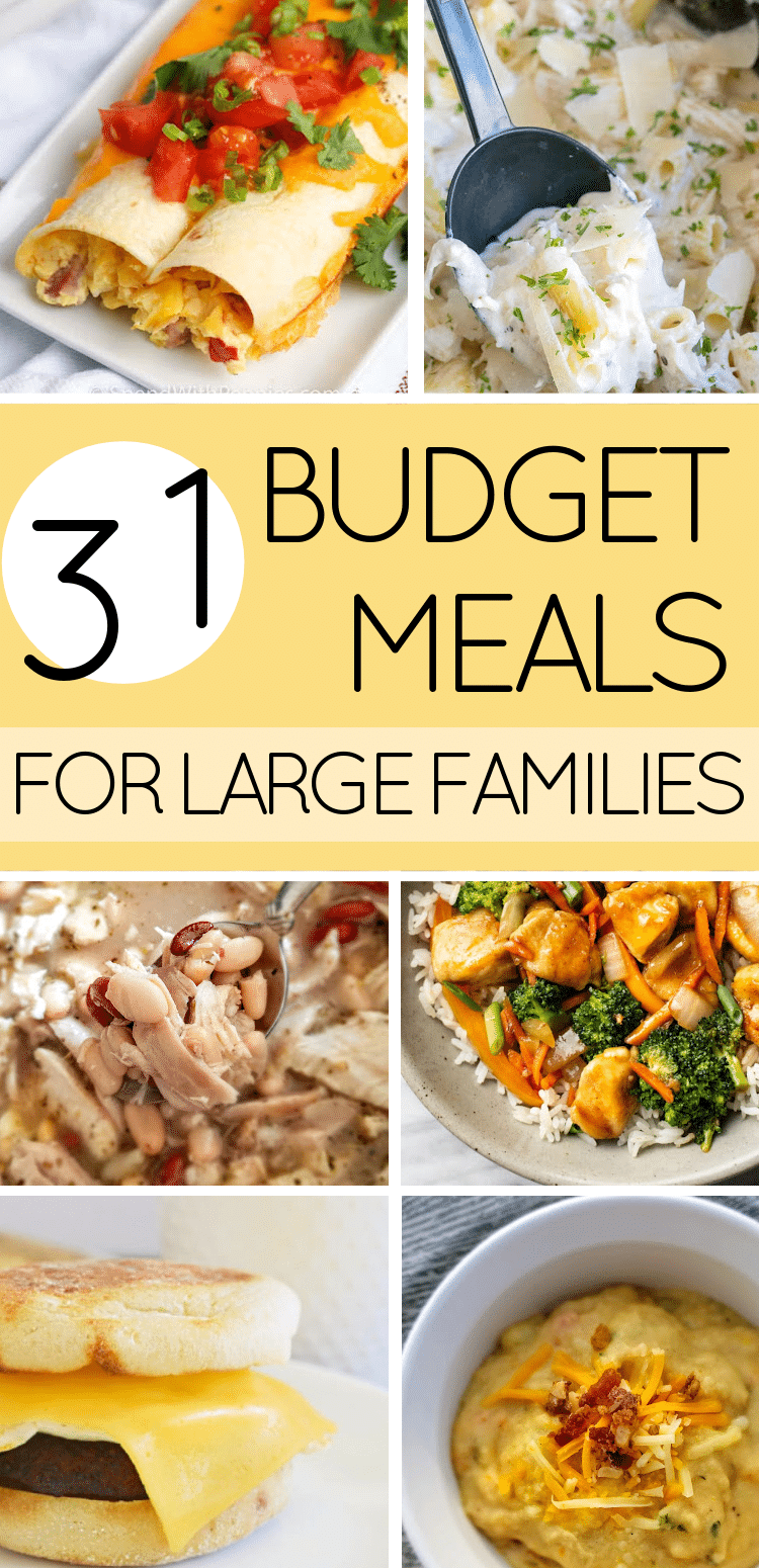Affordable family recipes