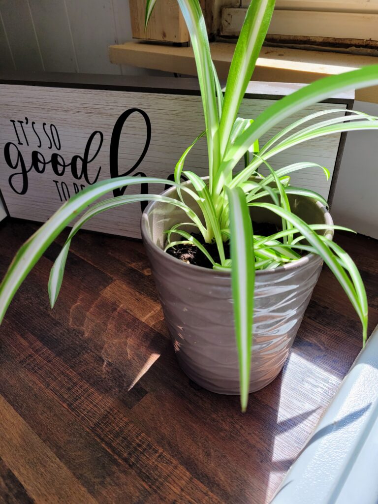 cheap ways to update your home, inexpensive home updates, easy home renovation diy, cheap upgrades to home, cheap upgraes to home easy diy, cheap ways to update your home farmhouse, cheap ways to update your house, cheap home improvements, cheap home improvements diy, simple cheap home improvements, easy cheap home improvements
