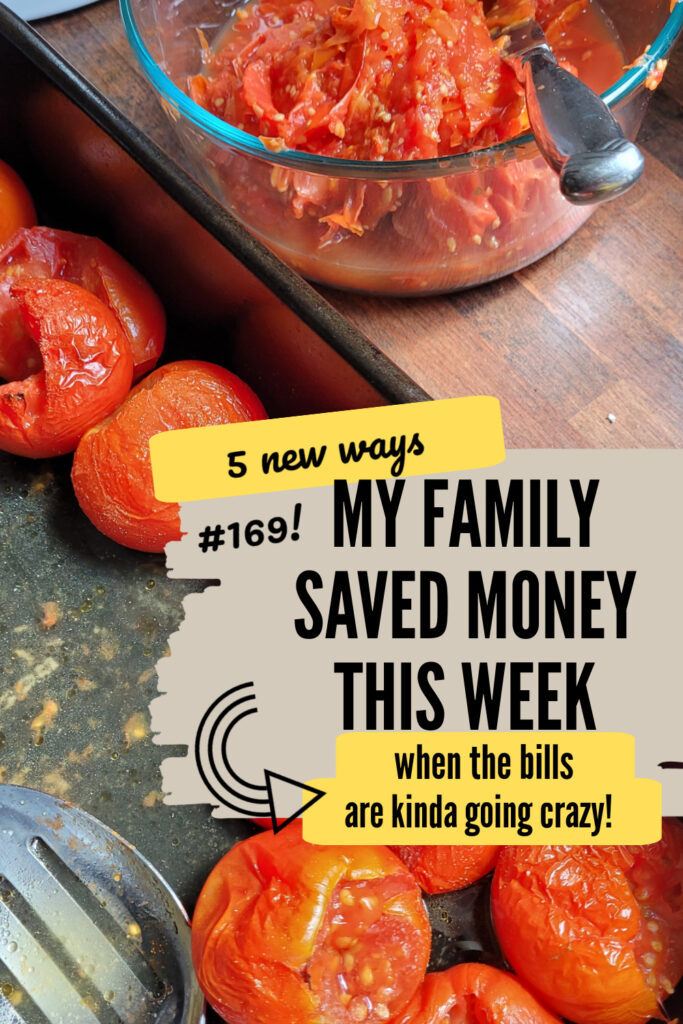 5 Ways We've Saved Money This Week #169