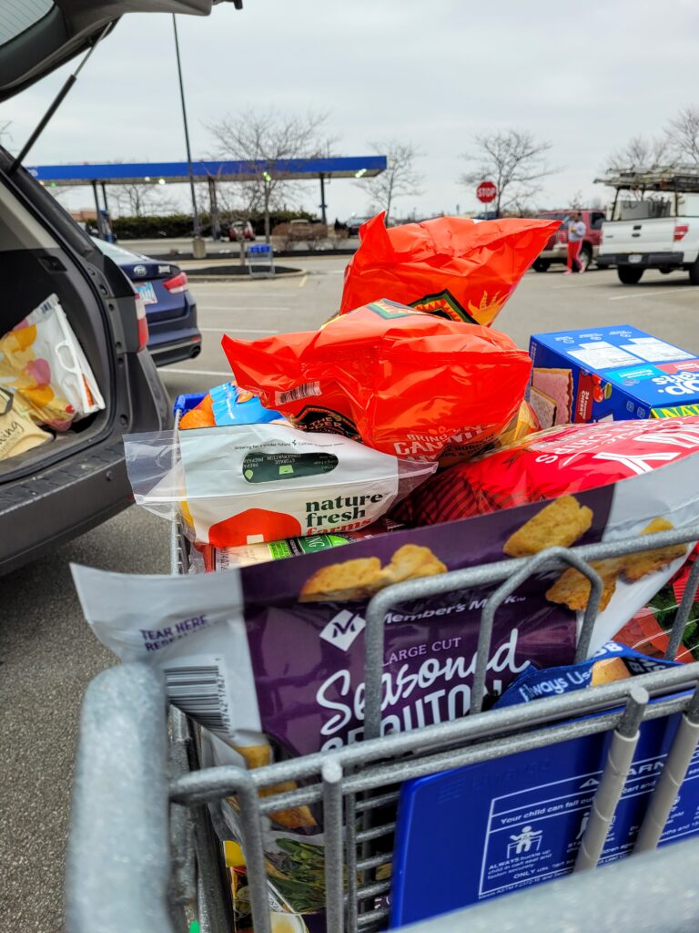 grocery shopping cart