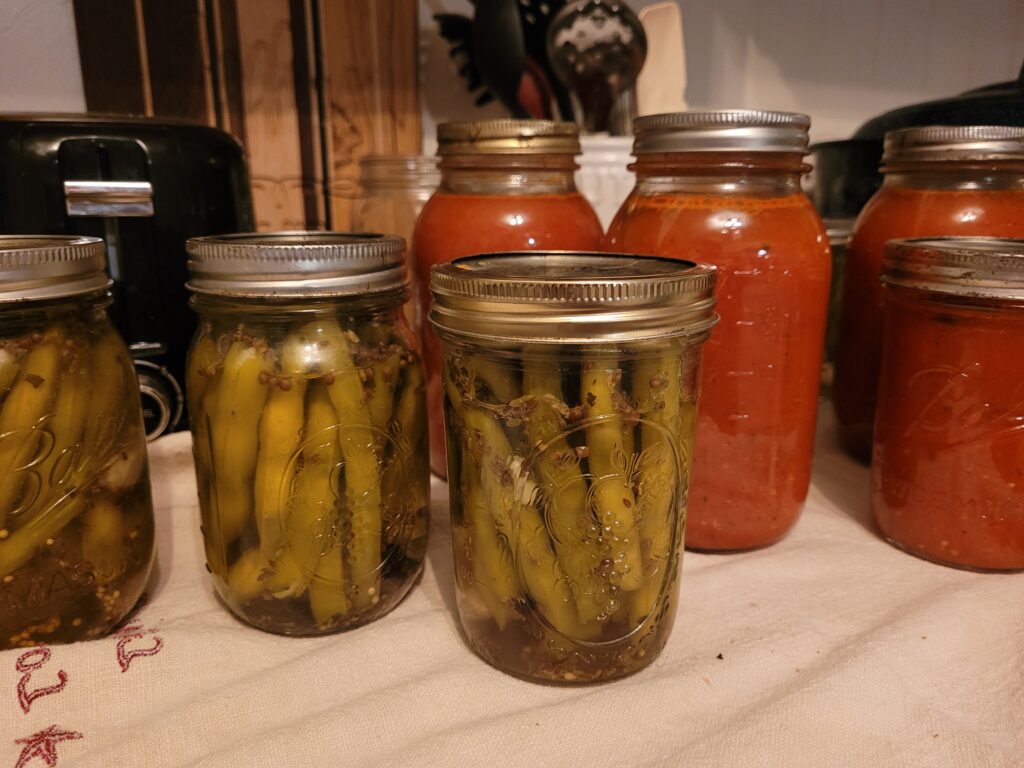 pickled green beans canned