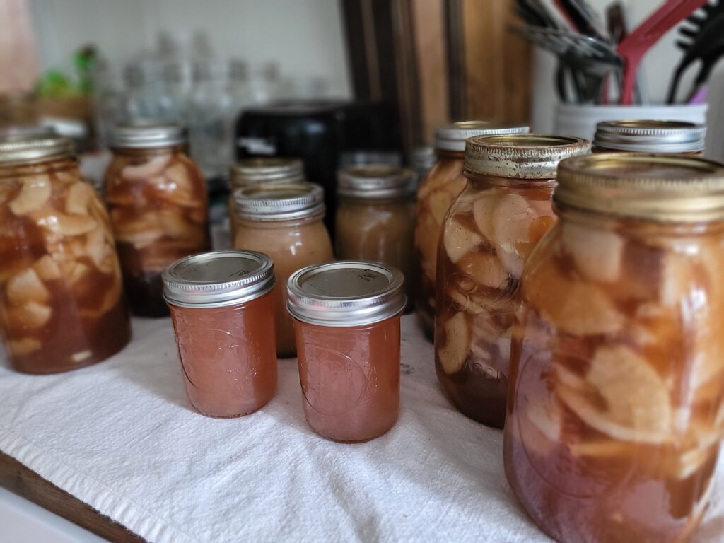 canned apples